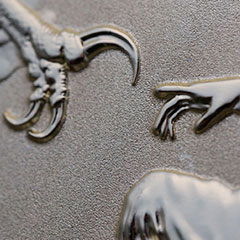 Detail of Jeff Goldblum Belt Buckle